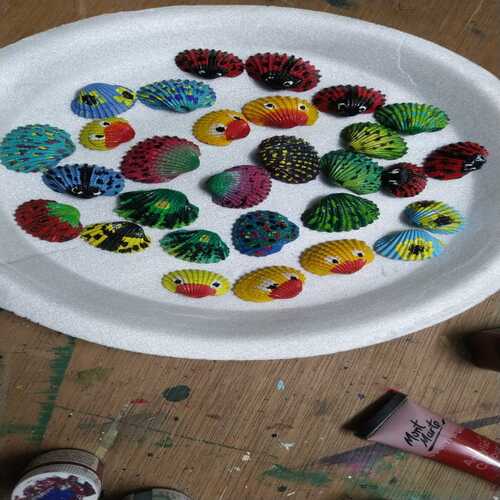 Colorful Shells ( Set of 20)
