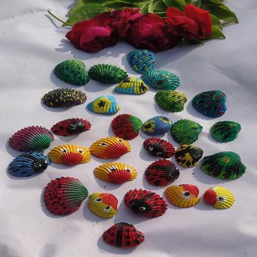 Colorful Shells ( Set of 20)