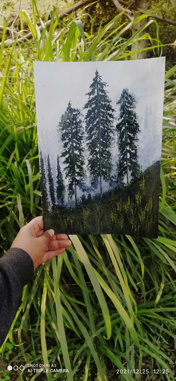 Winter Forest