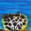 Sun in the Bush