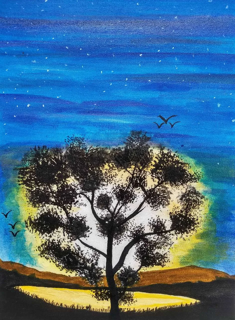 Sun in the Bush