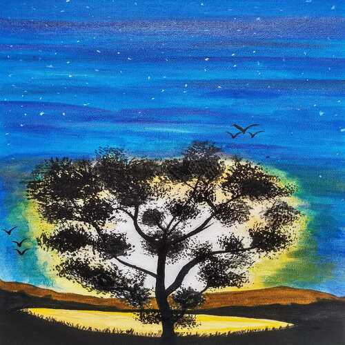 Sun in the bush