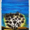 Sun in the Bush