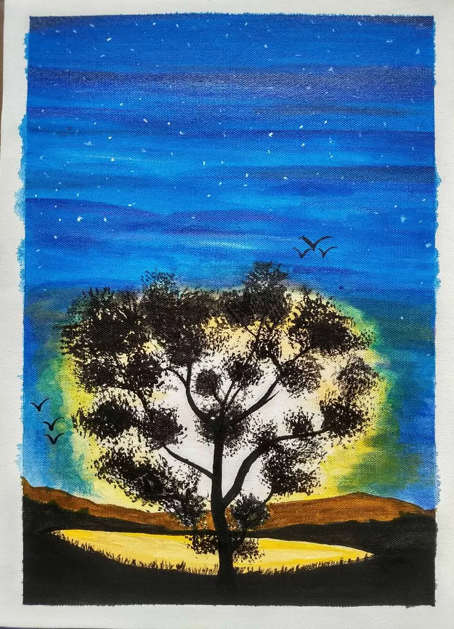 Sun in the Bush