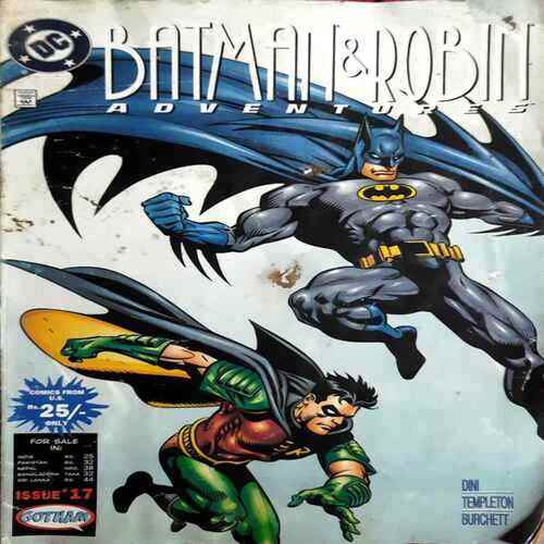 Batman And Robin Adventure