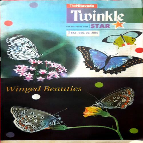 Twinkle Star (Mixed year) 10 in 1