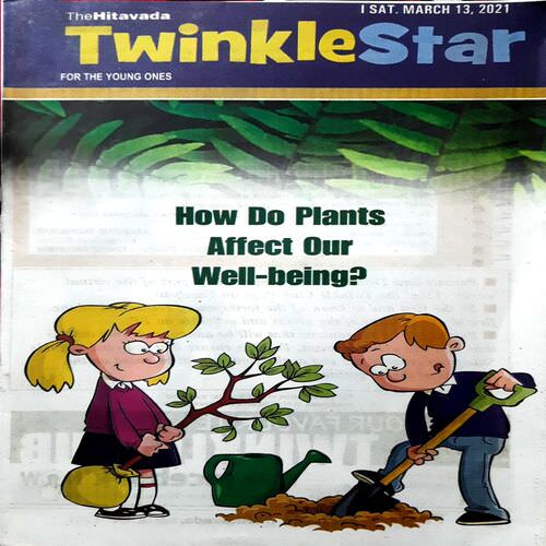 Twinkle Star (Mixed year) 10 in 1