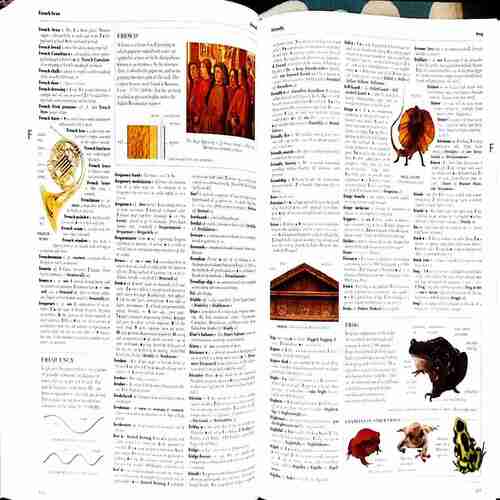 Oxford Dictionary