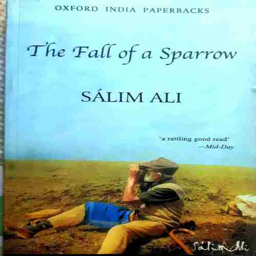 The Fall of a Sparrow