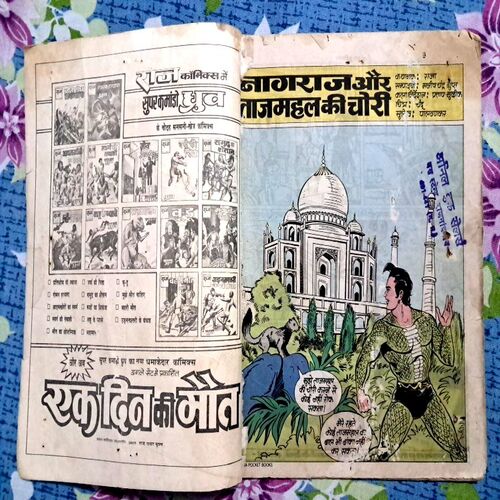 Nagraj Aur TajMahal Ki Chori