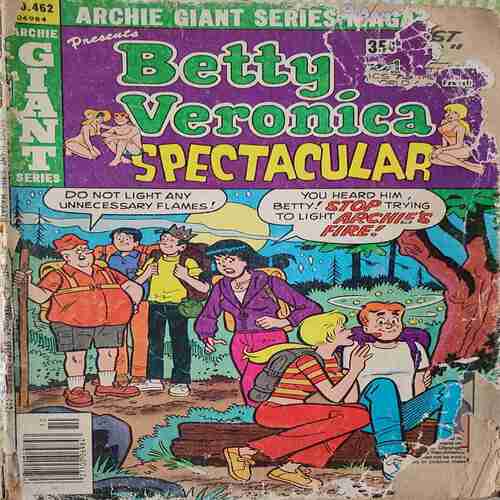 Betty And Veronica Spectacular . ( Archie Series No. 462 ) .  Front Cover Little Damage Corner .