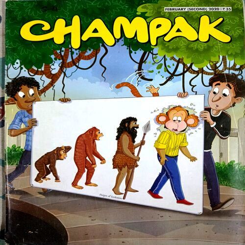 Champak (Feb 2nd 2020)