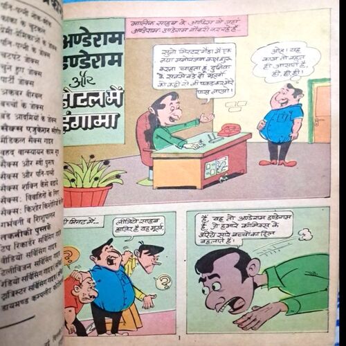 Anderam danderam aur hotel main hungama