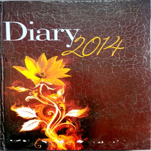 Diary (2014)