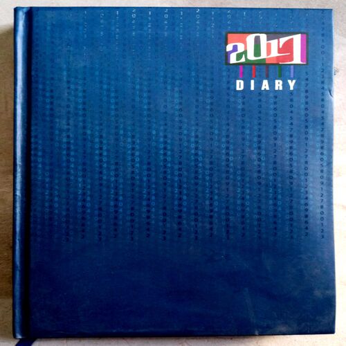 Diary (2017)