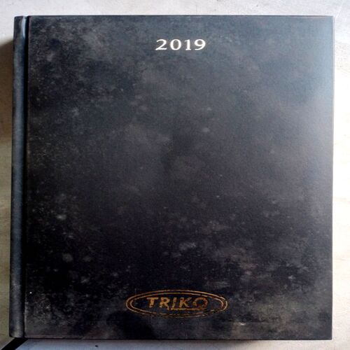 Diary (2019)