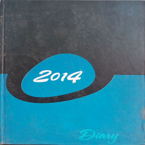 Diary (2014)