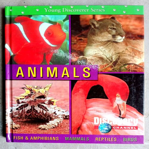 Young Discover Series  Universe, Animals, Earth (Set of 3 books))