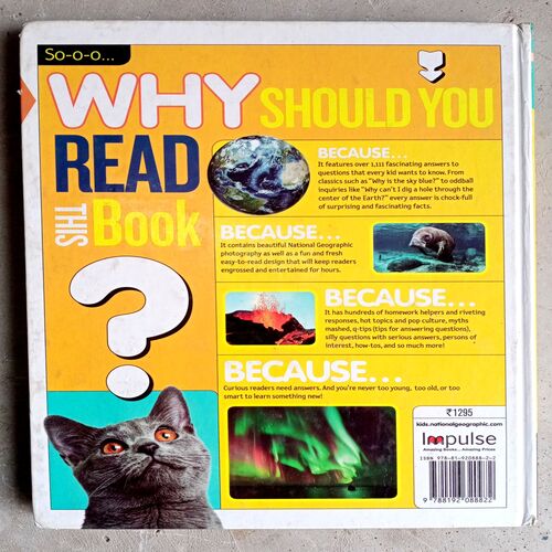 Why Answer To Everything
