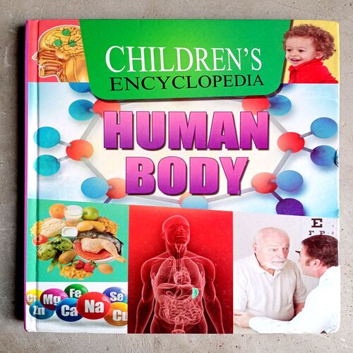 Human Body