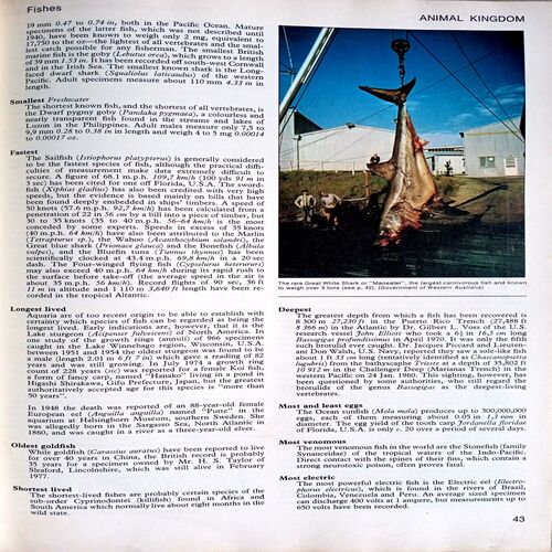 Guinness Book of Record