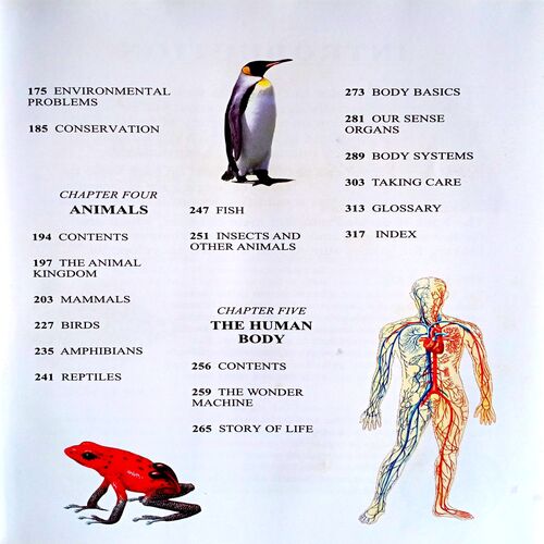 Encyclopedia With Awesome Facts