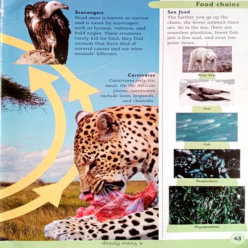 First Science Encyclopedia