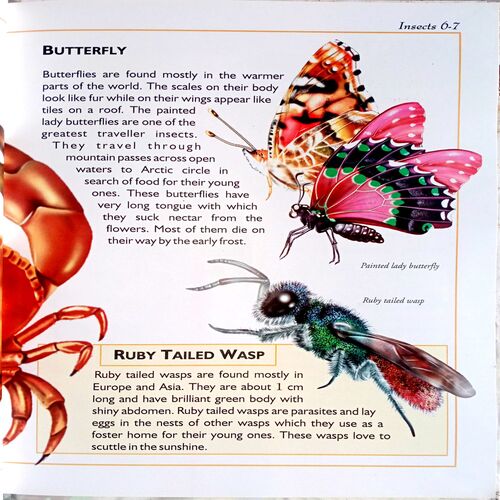 Animals Encyclopedia