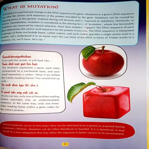 Children's Encyclopedia Amazing Facts