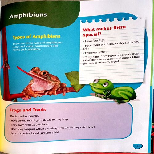 Children's Encyclopedia Animal Kingdom