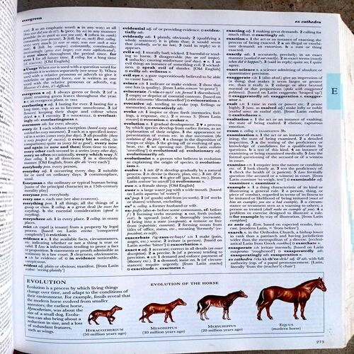 Illustrated Oxford Dictionary