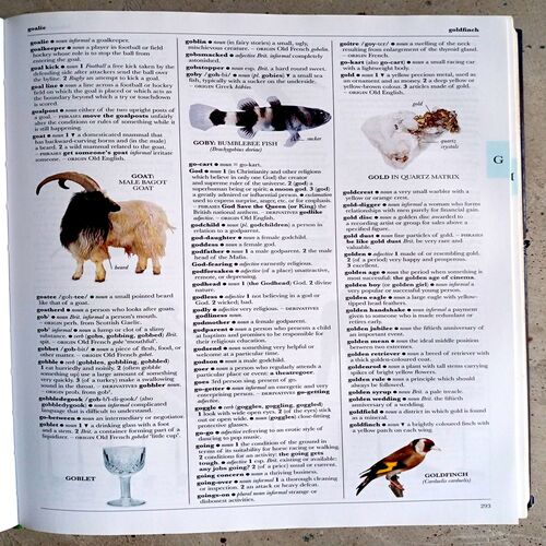 Illustrated Oxford Dictionary