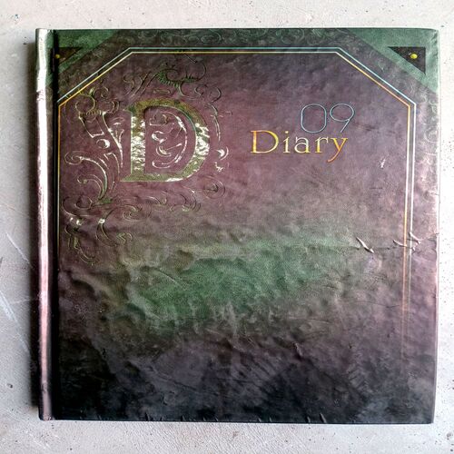 Diary (2009)