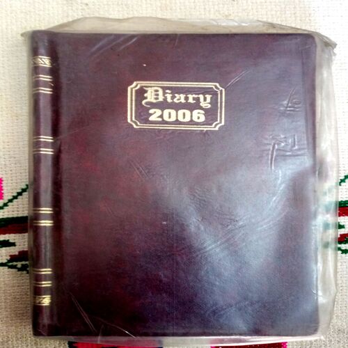Diary (2006)