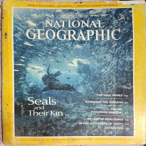 Seals And Their Kin (April 1987) (Nat Geo)