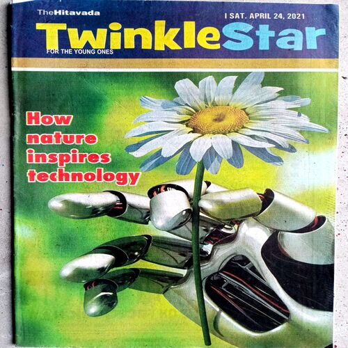 Twinkle Star (24 April 2021)