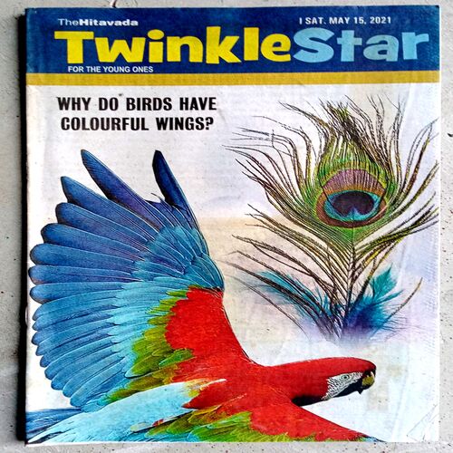 Twinkle Star (15 May 2021)