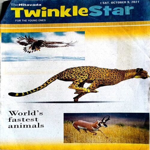 Twinkle Star (9 Oct 2021)