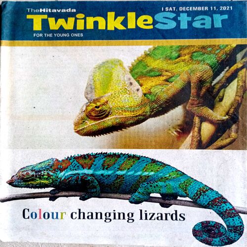 Twinkle Star (11 Dec 2021)