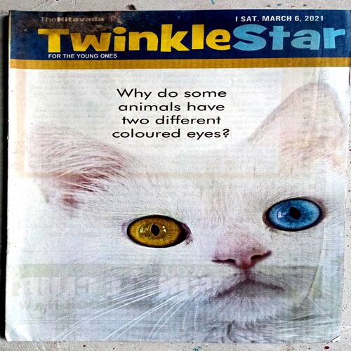 Twinkle Star (6 March 2021)