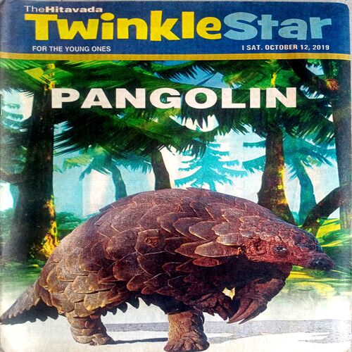 Twinkle Star (12 Oct 2019)