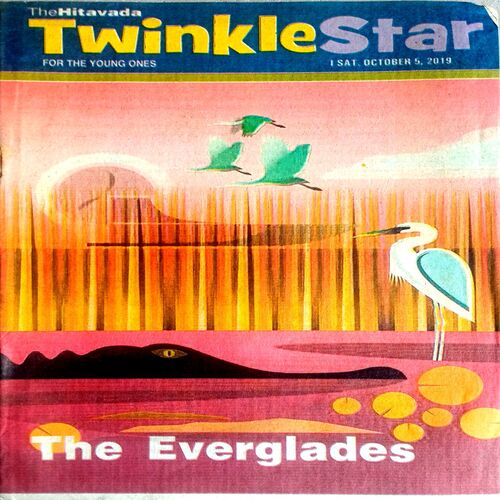 Twinkle Star (5 Oct 2019)
