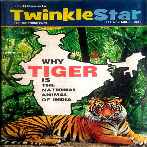 Twinkle Star (2 Nov 2019)