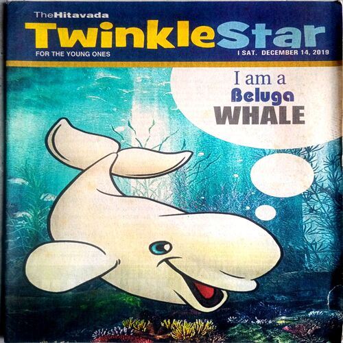 Twinkle star (14 Dec 2019)