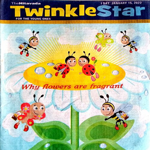 Twinkle Star (15 Jan 2022)