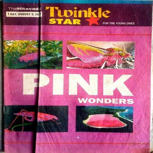 Twinkle Star (5 Aug 2017)