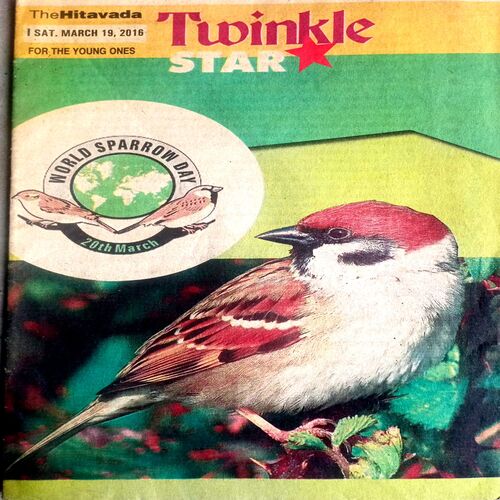 Twinkle Star (19 March 2016)