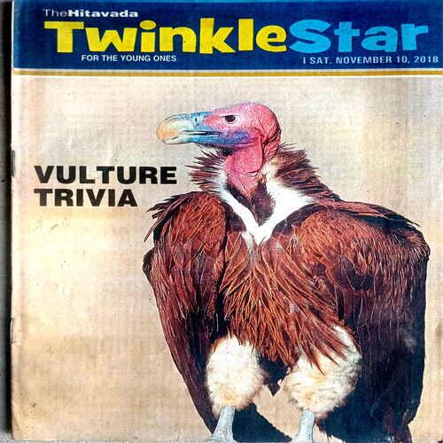 Twinkle STAR (10 Nov 2018)