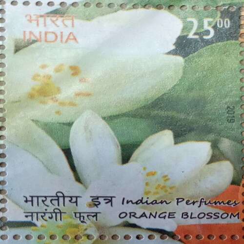 Postal Stamp