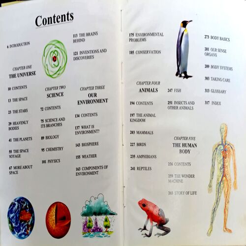 Junior Awesome Encyclopedia With Facts